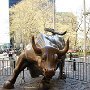 DSC 0327  NY Bull